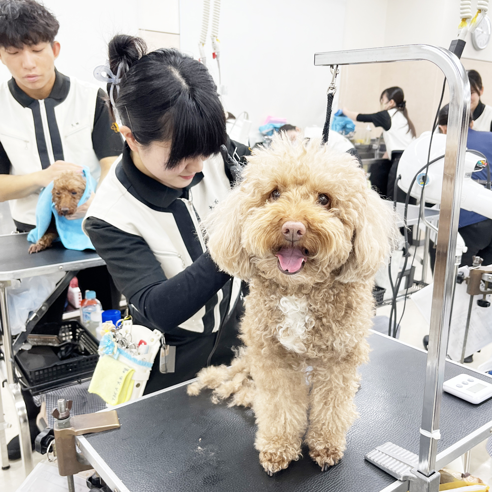 かわいいお客様！